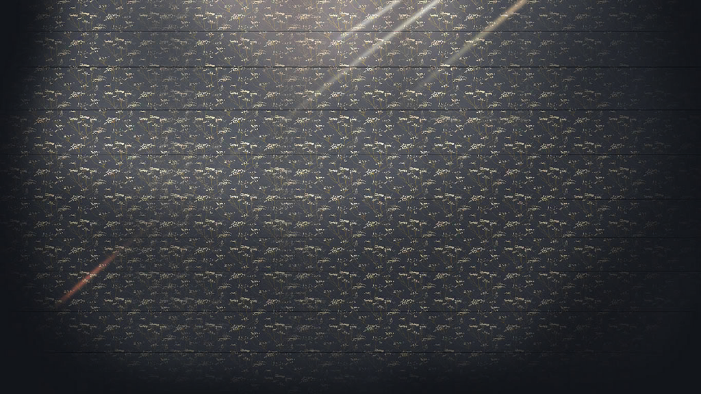 star_level_bg_116